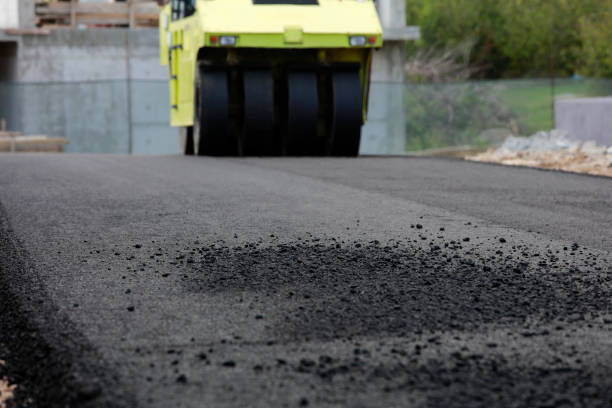 Best Driveway Paving Contractor  in Howard Lake, MN